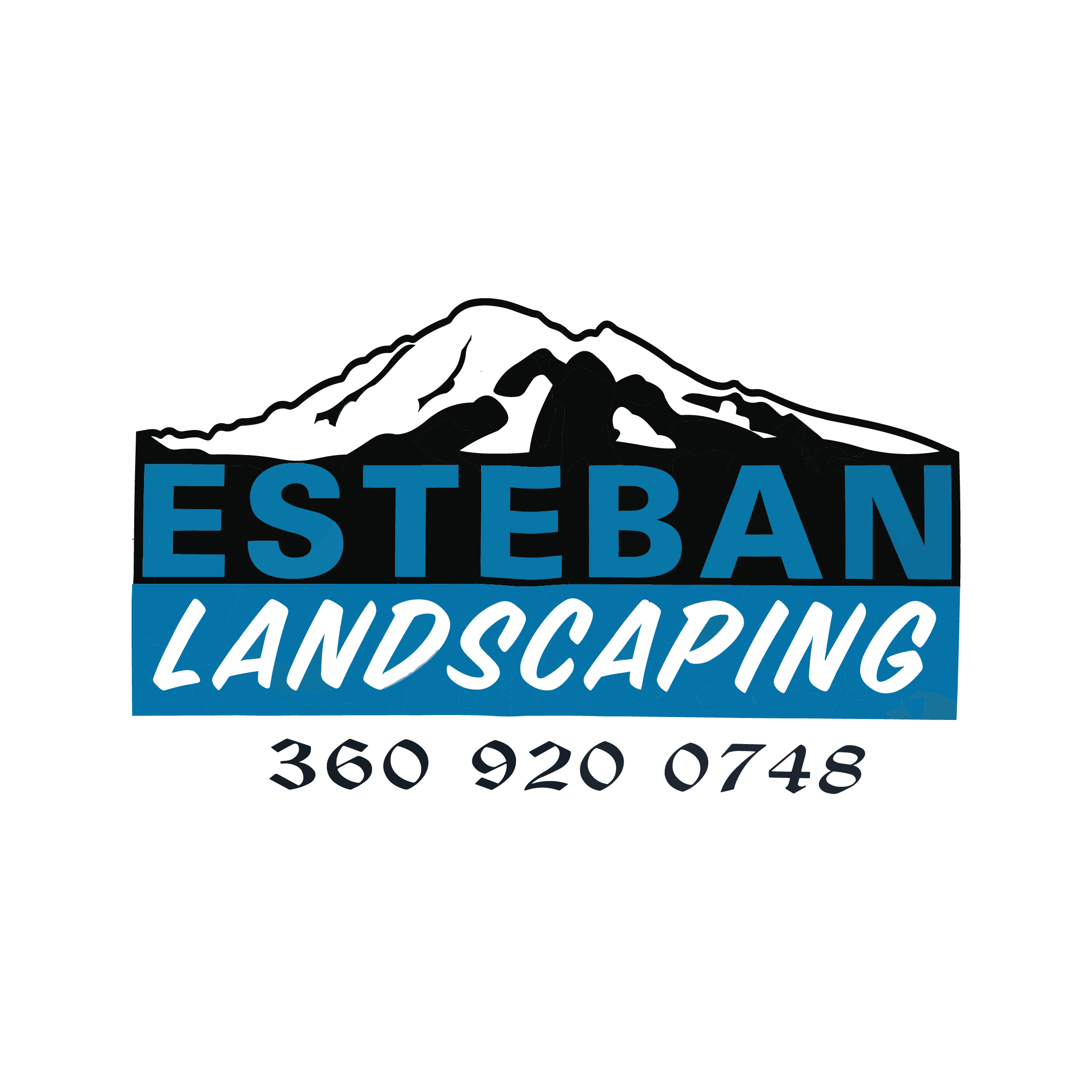 logos Mesa de trabajo 1 copia 4
