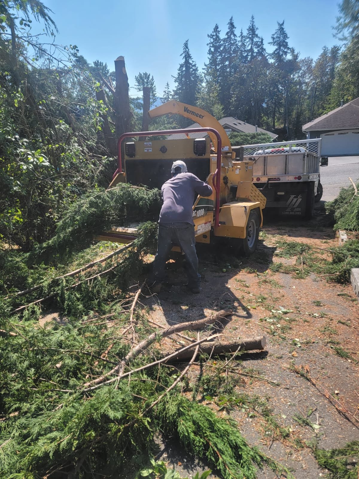 Esteban landscaping (135)
